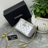 Chanel Women’s Designer  Quilted Chain Bag