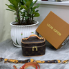 Louis Vuitton Vanity Monogram Handbag